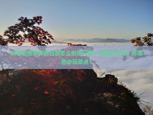 长葛去张家界四日游怎么安排行程？需要多少钱？有哪些必玩景点？