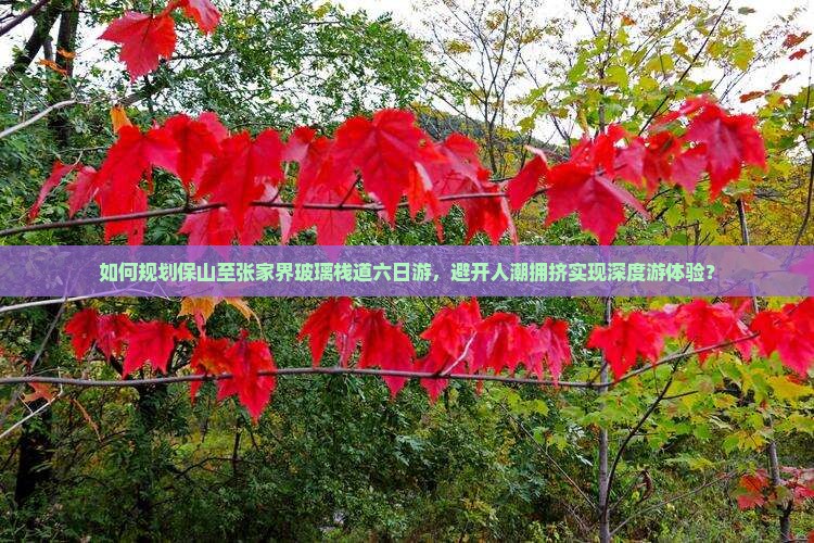 如何规划保山至张家界玻璃栈道六日游，避开人潮拥挤实现深度游体验？