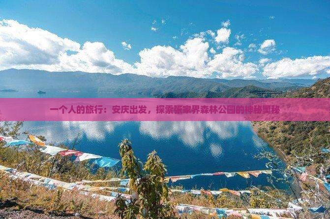 一个人的旅行：安庆出发，探索张家界森林公园的神秘奥秘