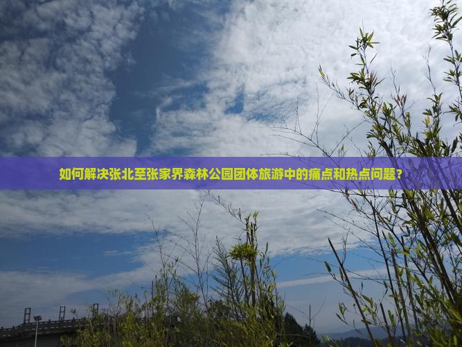 如何解决张北至张家界森林公园团体旅游中的痛点和热点问题？