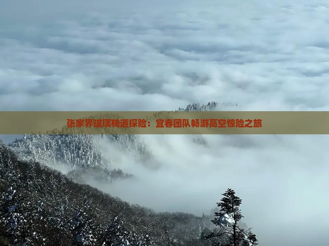 张家界玻璃栈道探险：宜春团队畅游高空惊险之旅