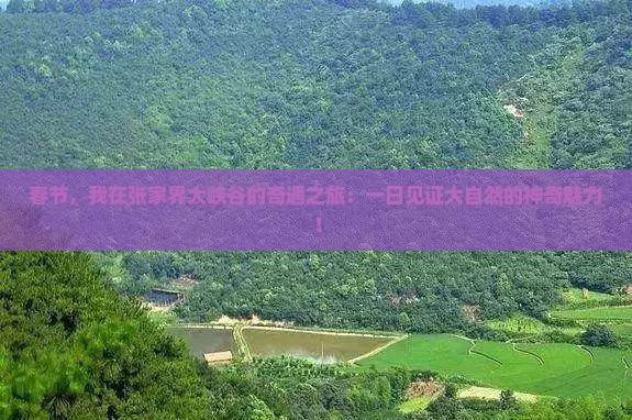 春节，我在张家界大峡谷的奇遇之旅：一日见证大自然的神奇魅力！