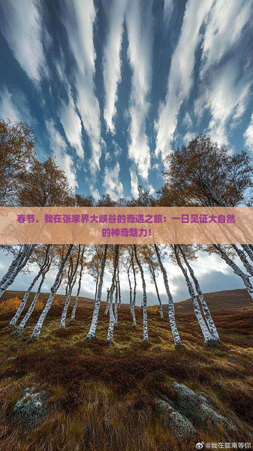 春节，我在张家界大峡谷的奇遇之旅：一日见证大自然的神奇魅力！