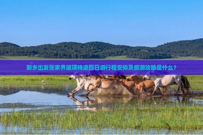 新乡出发张家界玻璃栈道四日游行程安排及旅游攻略是什么？