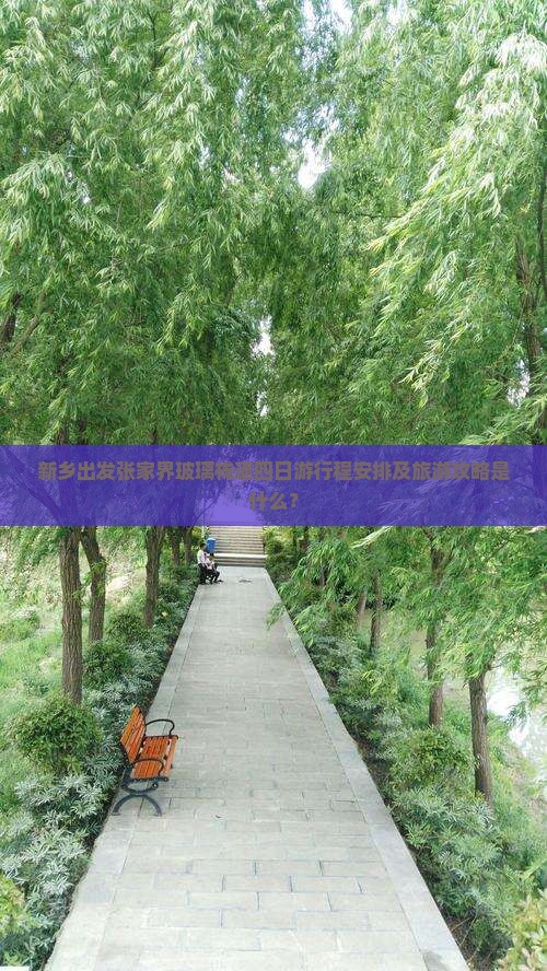 新乡出发张家界玻璃栈道四日游行程安排及旅游攻略是什么？