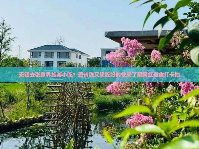 无锡去张家界旅游小吃？想省钱又想吃好的快来了解网红美食打卡地