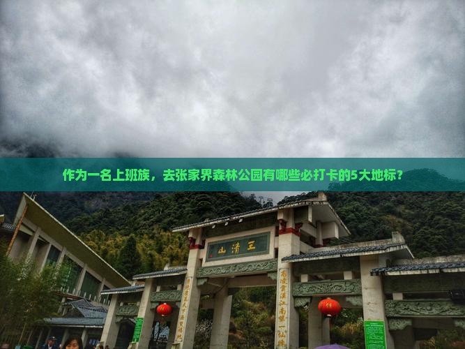 作为一名上班族，去张家界森林公园有哪些必打卡的5大地标？