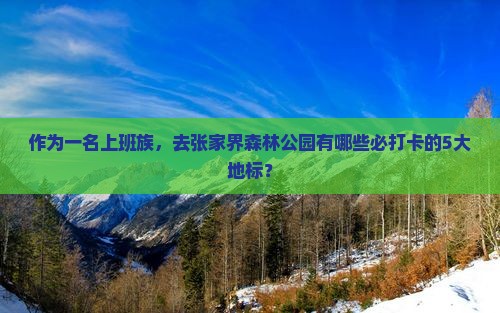 作为一名上班族，去张家界森林公园有哪些必打卡的5大地标？