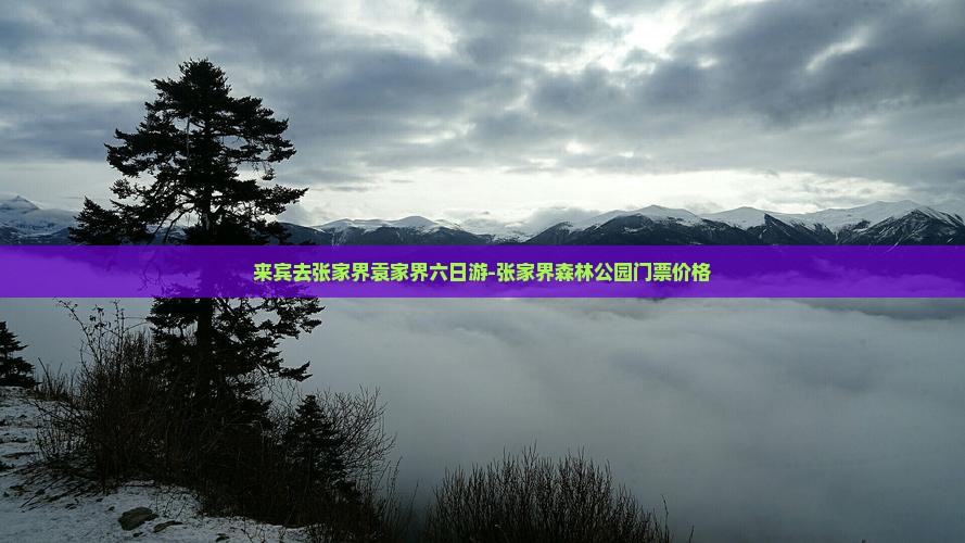 来宾去张家界袁家界六日游-张家界森林公园门票价格