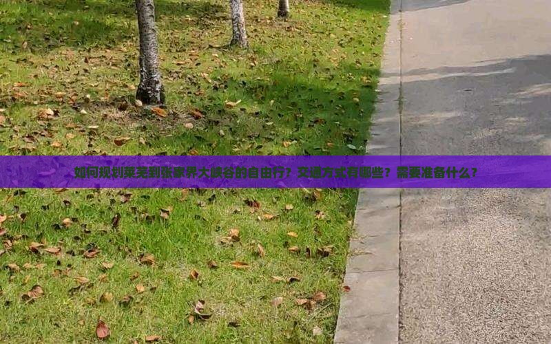 如何规划莱芜到张家界大峡谷的自由行？交通方式有哪些？需要准备什么？