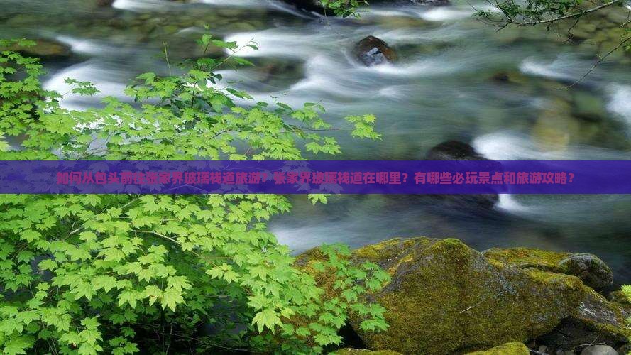 如何从包头前往张家界玻璃栈道旅游？张家界玻璃栈道在哪里？有哪些必玩景点和旅游攻略？