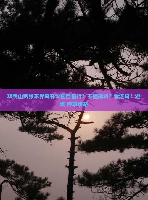 双鸭山到张家界森林公园自由行？不懂规划？看这篇！避坑+种草攻略