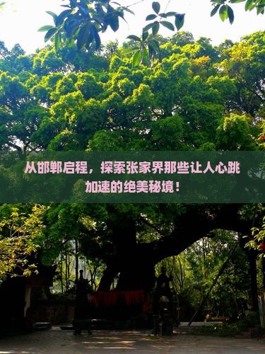 从邯郸启程，探索张家界那些让人心跳加速的绝美秘境！