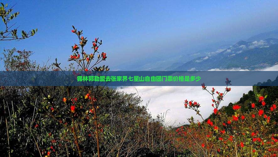 锡林郭勒盟去张家界七星山自由团门票价格是多少