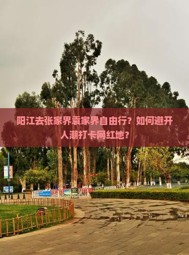 阳江去张家界袁家界自由行？如何避开人潮打卡网红地？
