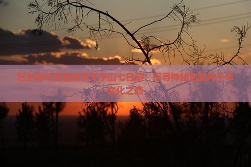 巴彦倬尔到张家界天子山七日游：探寻神秘地貌与千年文化之旅