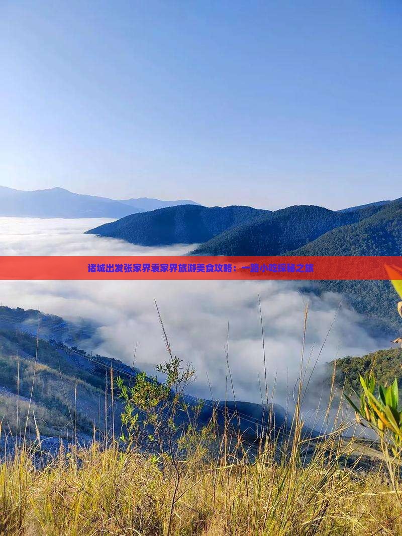 诸城出发张家界袁家界旅游美食攻略:一路小吃探秘之旅 诸城出发张家界袁家界旅游美食攻略:一路小吃探秘之旅