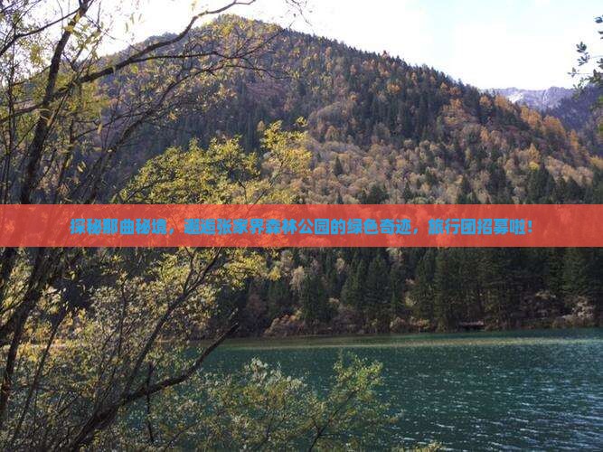 探秘那曲秘境，邂逅张家界森林公园的绿色奇迹，旅行团招募啦！