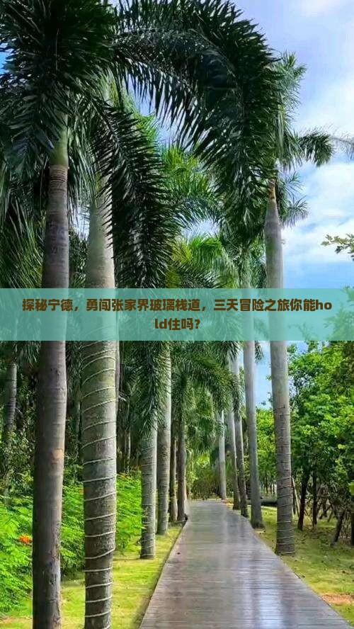 探秘宁德，勇闯张家界玻璃栈道，三天冒险之旅你能hold住吗？