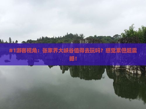 #1游客视角：张家界大峡谷值得去玩吗？感觉累但超震撼！