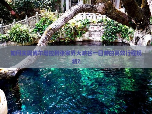 如何实现博尔塔拉到张家界大峡谷一日游的高效行程规划？