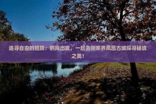 追寻自由的翅膀：鹤岗出发，一起去张家界凤凰古城探寻秘境之美！