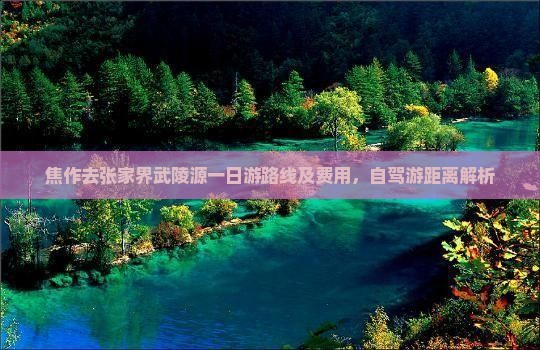 焦作去张家界武陵源一日游路线及费用，自驾游距离解析