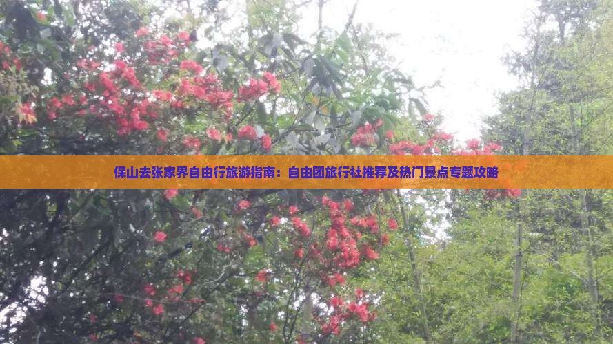 保山去张家界自由行旅游指南：自由团旅行社推荐及热门景点专题攻略