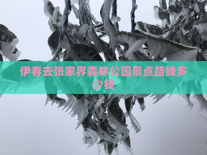 伊春去张家界森林公园景点路线多少钱