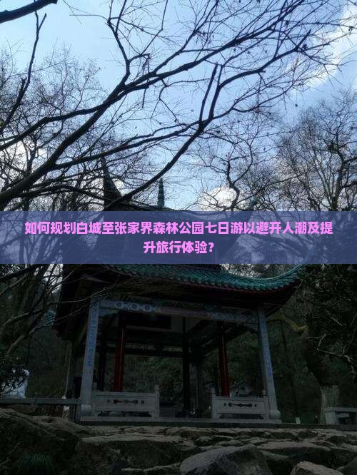 如何规划白城至张家界森林公园七日游以避开人潮及提升旅行体验？