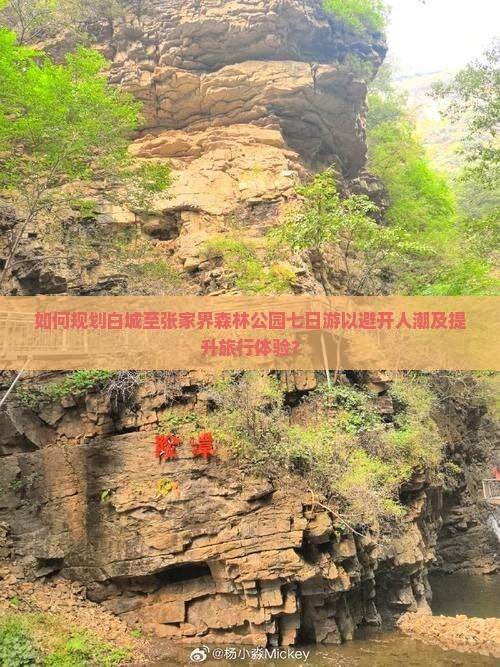 如何规划白城至张家界森林公园七日游以避开人潮及提升旅行体验？