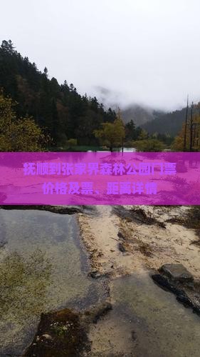 抚顺到张家界森林公园门票价格及票、距离详情