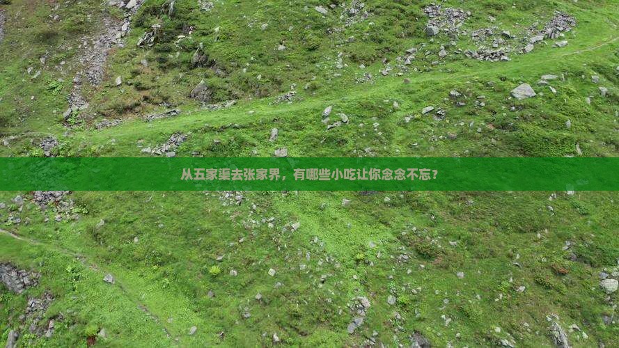 从五家渠去张家界，有哪些小吃让你念念不忘？