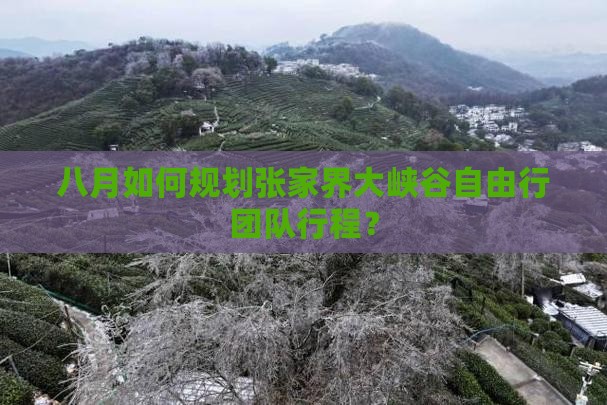 八月如何规划张家界大峡谷自由行团队行程？