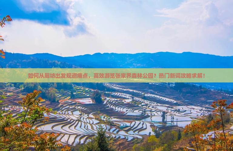 如何从廊坊出发规避痛点，高效游览张家界森林公园？热门新词攻略求解！