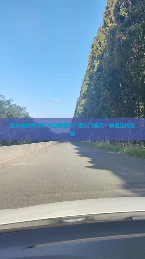 遵义去张家界天子山哪里玩？担心门票贵？快看这份攻略