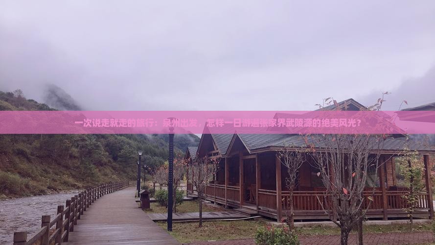 一次说走就走的旅行：泉州出发，怎样一日游遍张家界武陵源的绝美风光？