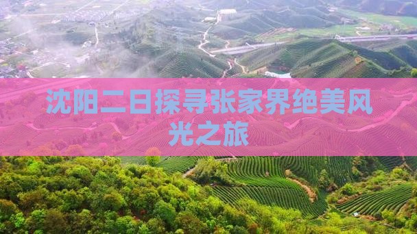 沈阳二日探寻张家界绝美风光之旅