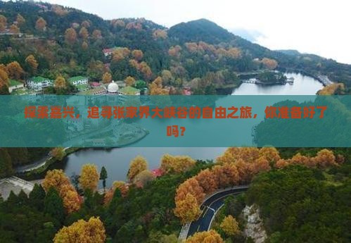 探索嘉兴，追寻张家界大峡谷的自由之旅，你准备好了吗？