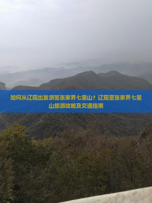 如何从辽阳出发游览张家界七星山？辽阳至张家界七星山旅游攻略及交通指南
