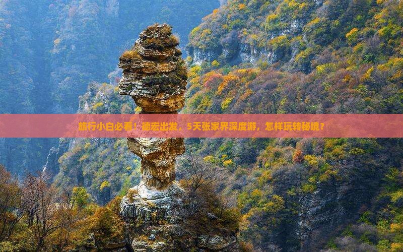 旅行小白必看！德宏出发，5天张家界深度游，怎样玩转秘境？