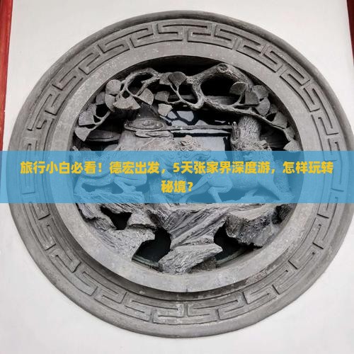 旅行小白必看！德宏出发，5天张家界深度游，怎样玩转秘境？
