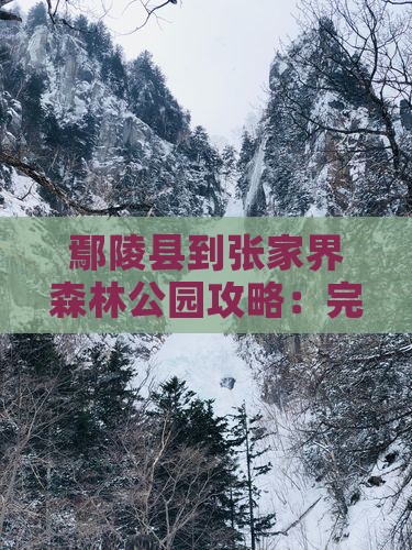 鄢陵县到张家界森林公园攻略：完整路线指南