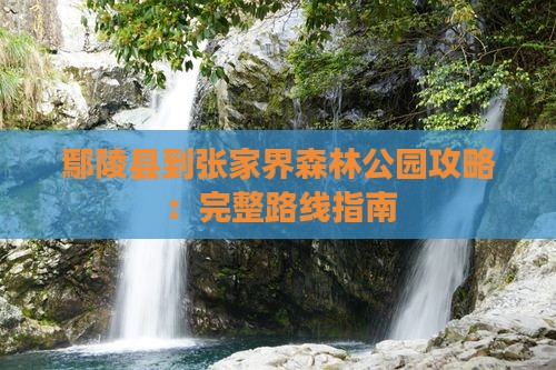 鄢陵县到张家界森林公园攻略：完整路线指南