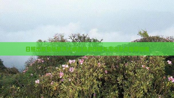 日照出发至张家界大峡谷旅游攻略与周边景点推荐指南