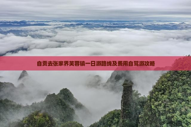 自贡去张家界芙蓉镇一日游路线及费用自驾游攻略