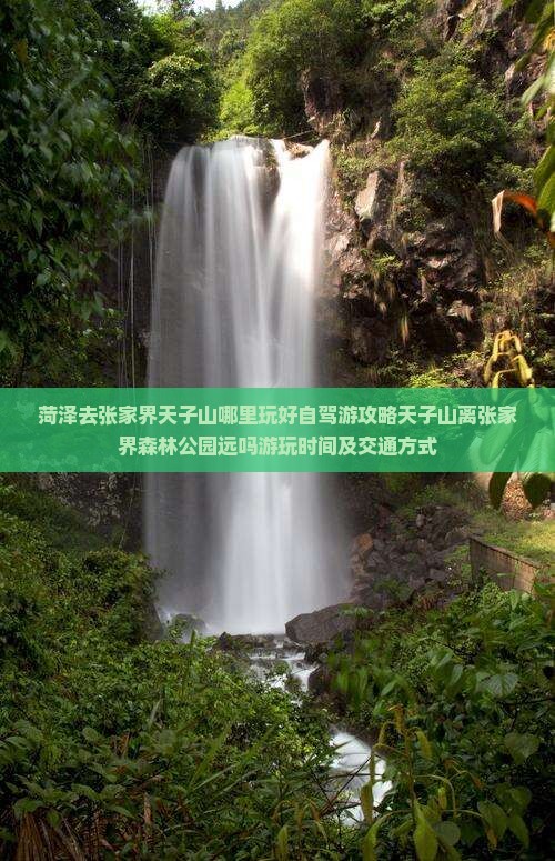 菏泽去张家界天子山哪里玩好自驾游攻略天子山离张家界森林公园远吗游玩时间及交通方式