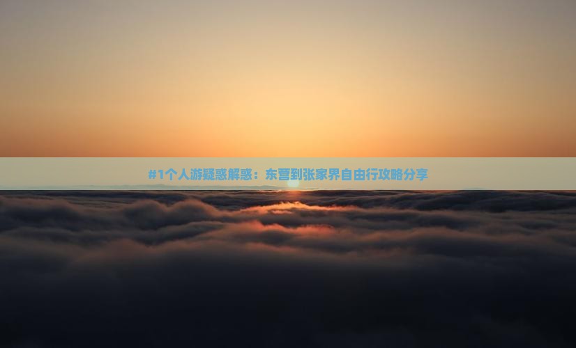 #1个人游疑惑解惑：东营到张家界自由行攻略分享