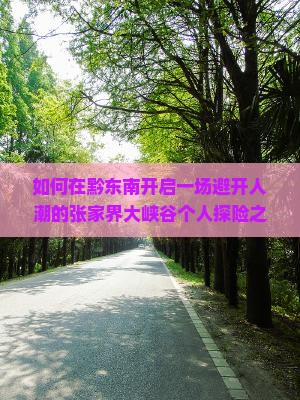 如何在黔东南开启一场避开人潮的张家界大峡谷个人探险之旅？