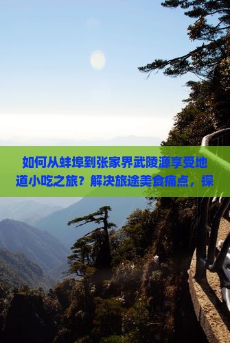 如何从蚌埠到张家界武陵源享受地道小吃之旅？解决旅途美食痛点，探索网红热词背后的美味！